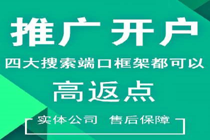 SEM托管服务，成功案例深度分析